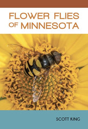 Flower Flies of Minnesota