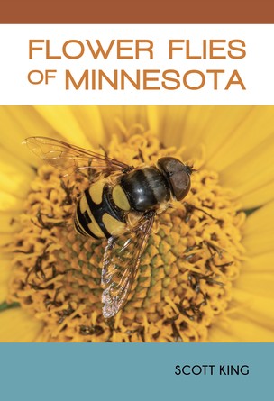 Flower Flies of Minnesota