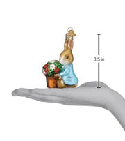 Peter Rabbit With Flower Pot Ornament
for size and scale