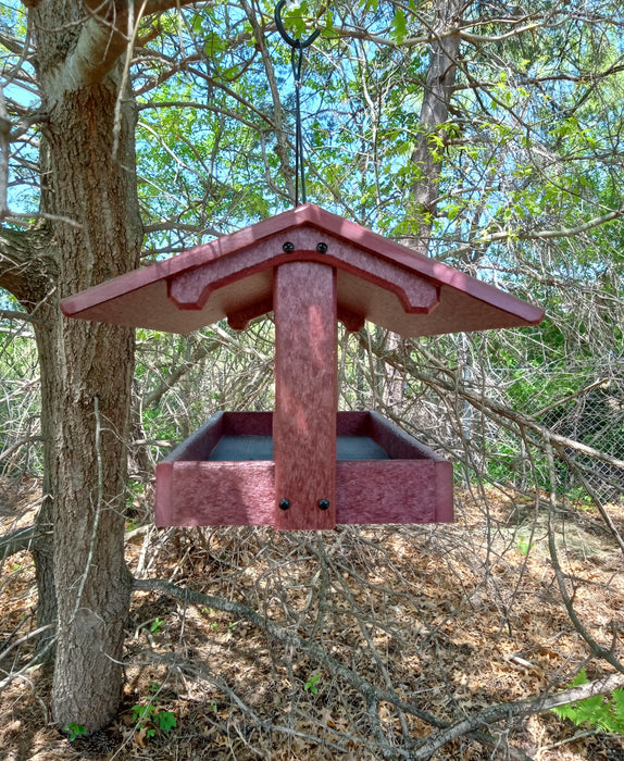 Fly Thru Feeder with Martha's Midland Songbird Mix