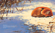 Saving Samantha: A True Story Picture Book