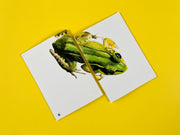 Frog Blank Notebook/Sketchbook - front and back cover shown side by side