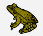 Waterproof Decal Sticker - Frog