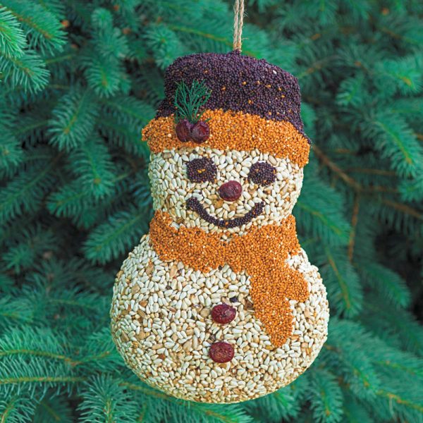 Frosty Snowman Seed Cake in a pine tree