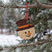 Frosty Christmas Cookie
