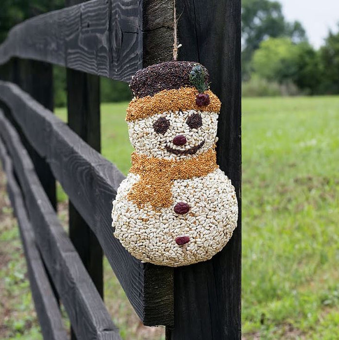 Frosty Snowman Seed Cake on a fence post