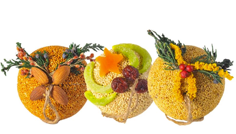 Holiday Seed Ornaments Variety Pack