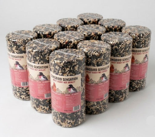12 Pack Fruit Berry Nut Medley Seed Cylinder