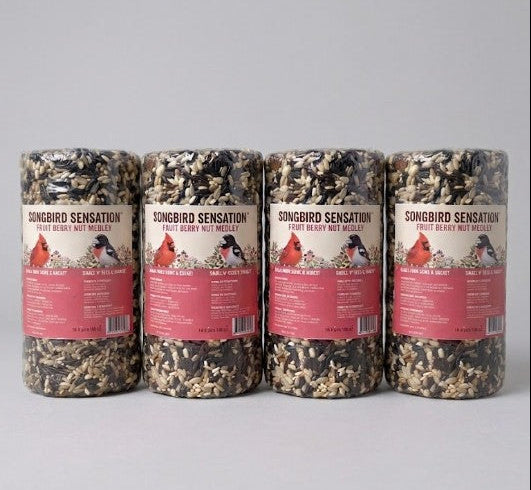 4 Pack Fruit Berry Nut Medley Seed Cylinder