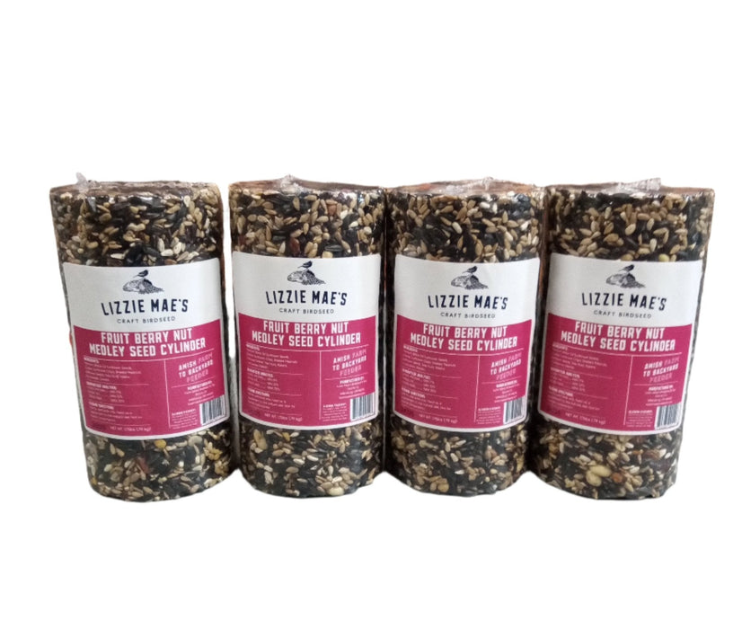 4 Pack Fruit Berry Nut Medley Seed Cylinder