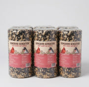 6 Pack Fruit Berry Nut Medley Seed Cylinder