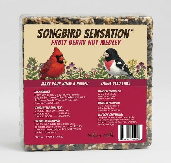 Fruit Berry Nut Medley Large Seed Cakes 1.75 lb
