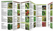 Gardening for Birds