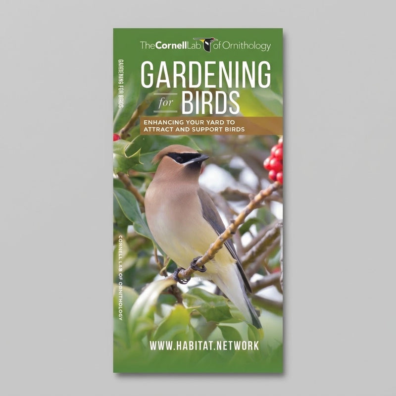 Gardening for Birds