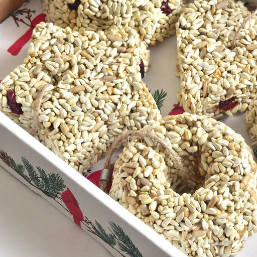 Holiday Seed Garland close up