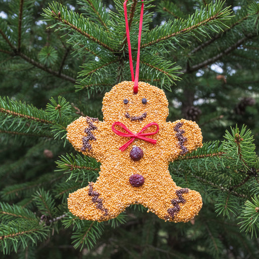 Gingerbread Man Christmas Cookie Seed Ornament against greenery