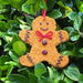 Gingerbread Man Christmas Cookie Seed Ornament against greenery