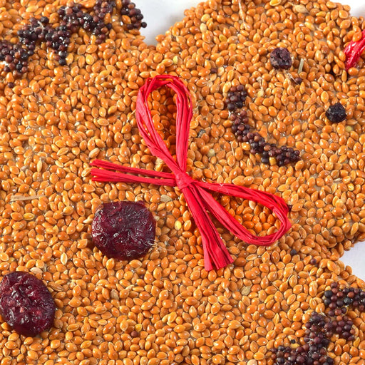 Gingerbread Man Christmas Cookie Seed Ornament - closeup