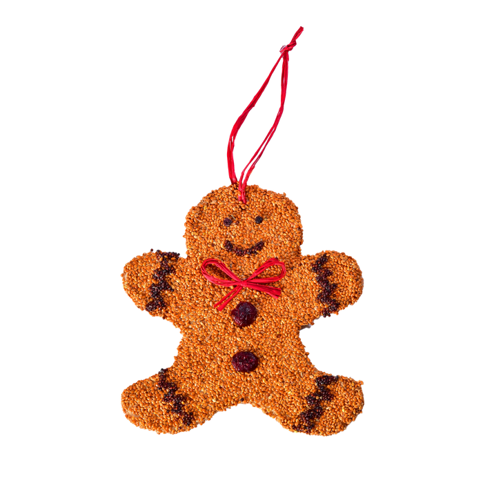 Gingerbread Man Christmas Cookie Seed Ornament