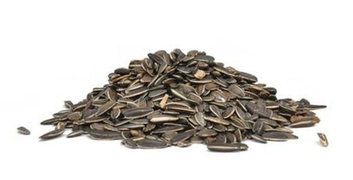 Striped Sunflower Seed 5lb Bag