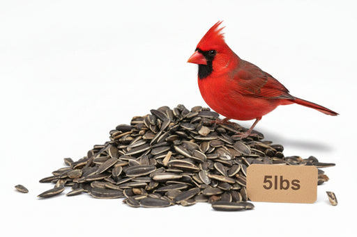 Striped Sunflower Seed 5lb Bag
