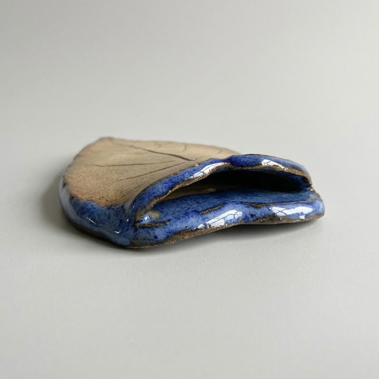 Small Leaf Pocket Vase - Common Hackberry
Inside is glazed for waterproofing