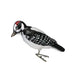 Hairy Woodpecker Ornament 6 pk close up