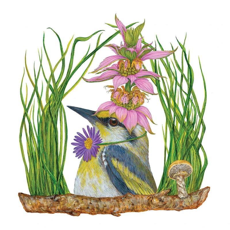Illustration of a warbler perched on a branch with native wildflowers and grasses