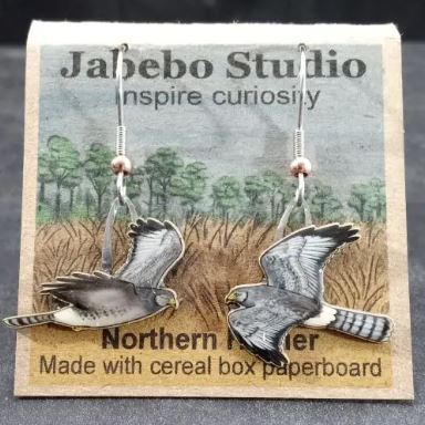 Northern Harrier Earrings with packaging