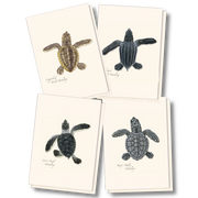 Sea Turtle Hatchling Assortment Notecard Boxed Set of 8