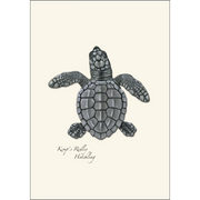 Sea Turtle Hatchling Assortment Notecard Boxed Set of 8
Kemp's Ridley Hatchling