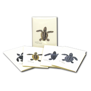 Sea Turtle Hatchling Assortment Notecard Boxed Set of 8