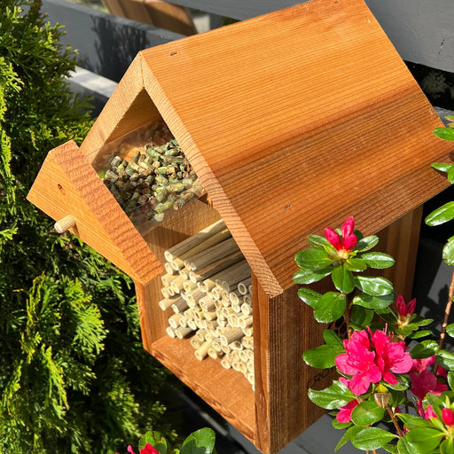 Bee Cocoon Hatchery™
in use in the Chalet Bee House
