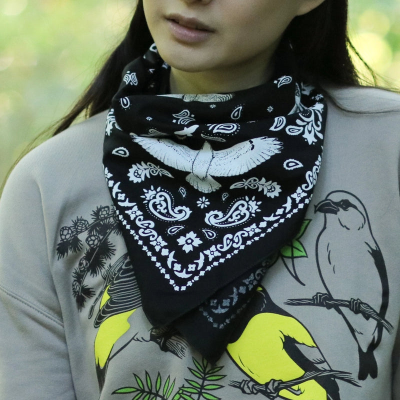 Hawks in Flight Bandana black