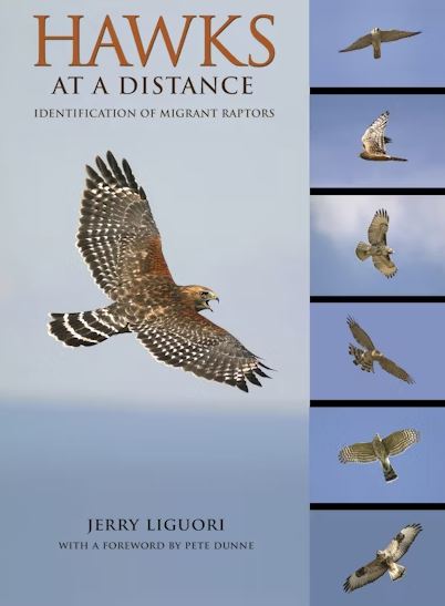 Hawks at a Distance: Identification of Migrant Raptors