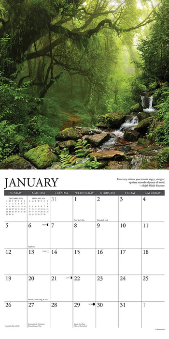 Heaven Has A Forest 2025 Wall Calendar
Sample Page