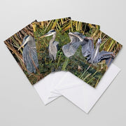 Great Blue Heron Assortment Notecards - Set of 4