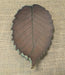 Stoneware Trinket Dish - Elm Leaf small