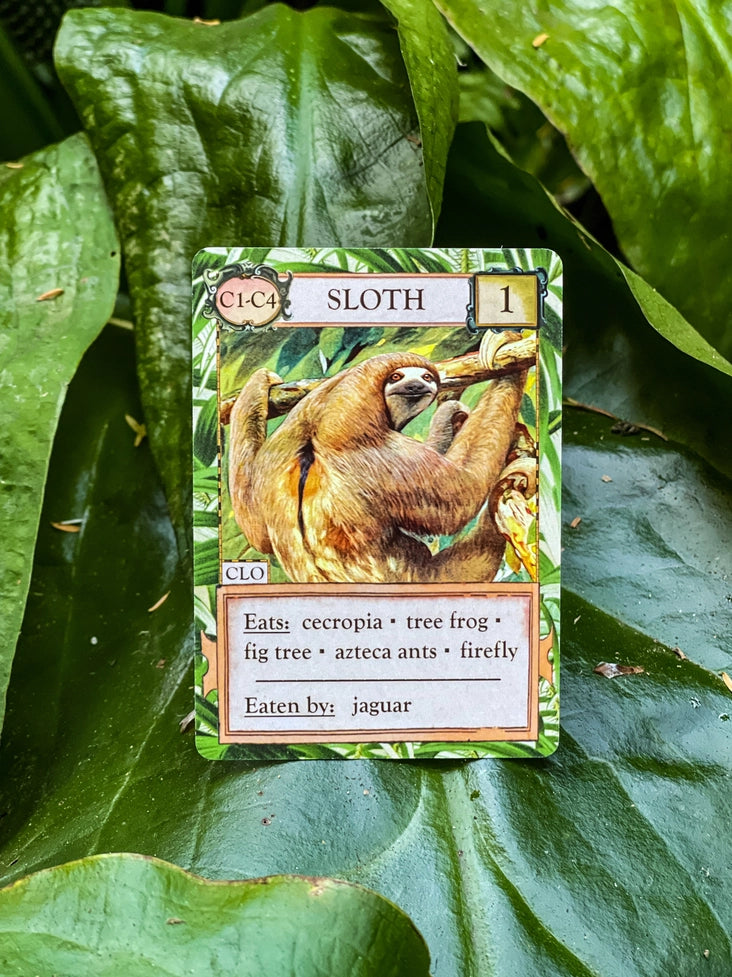 Ecologies: Hidden Habitats Card Game
sloth card