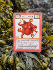 Ecologies: Hidden Habitats Card Game
octopus card