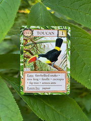 Ecologies: Hidden Habitats Card Game
toucan card