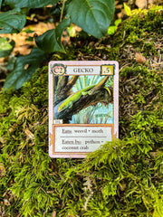 Ecologies: Hidden Habitats Card Game
gecko card