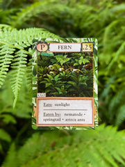 Ecologies: Hidden Habitats Card Game
fern card