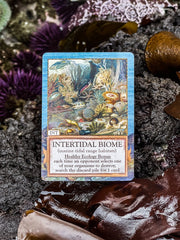 Ecologies: Hidden Habitats Card Game intertidal biome card