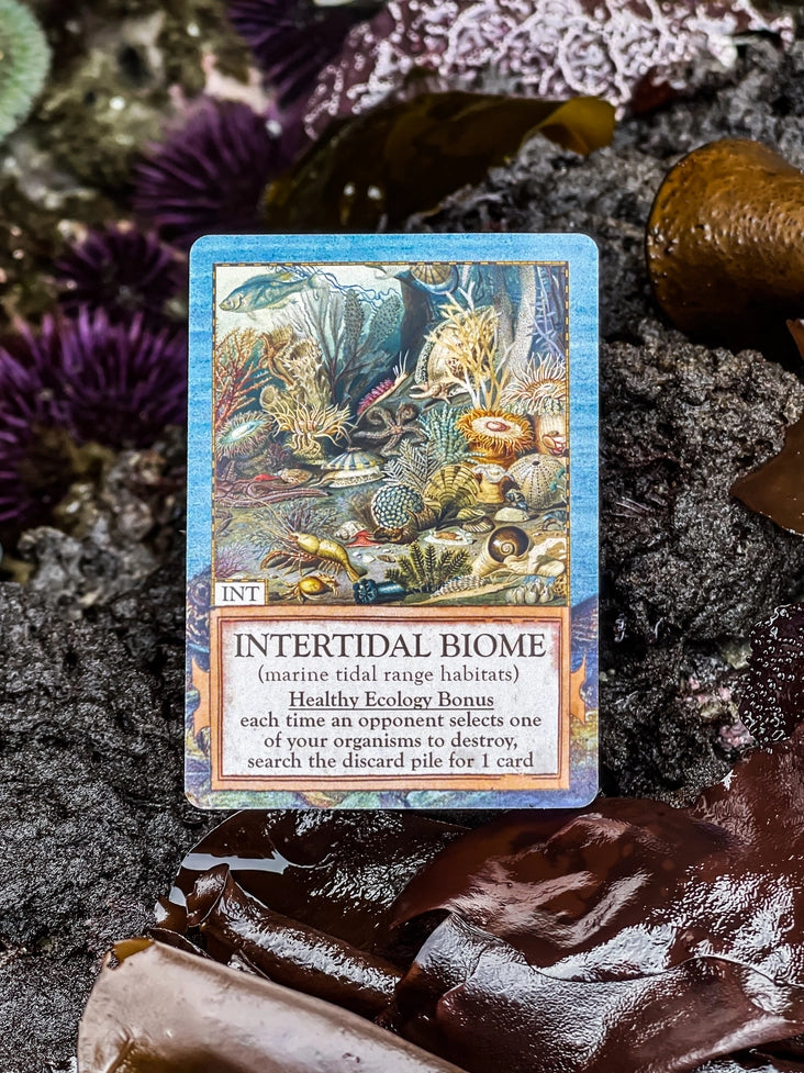Ecologies: Hidden Habitats Card Game intertidal biome card