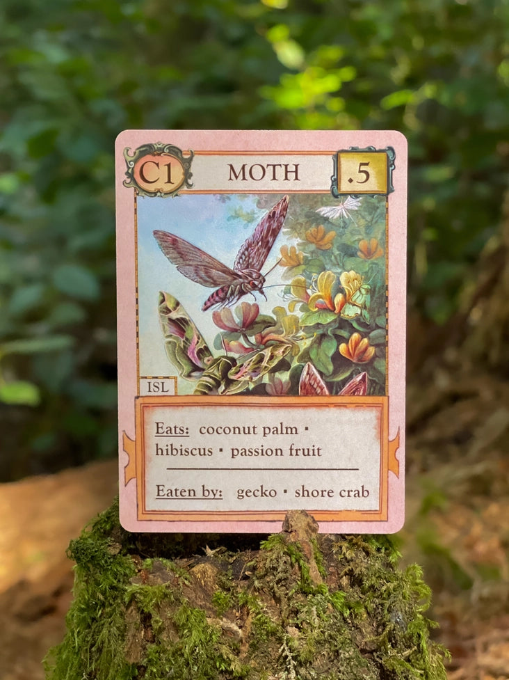 Ecologies: Hidden Habitats Card Game
moth card