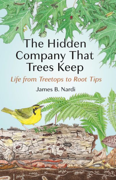 Book cover of 'The Hidden Company That Trees Keep' with illustrations of a bird, leaves, and a log.
