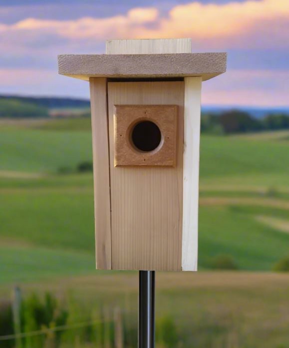 Cedar Bluebird House with Polywood Predator Guard