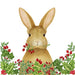 Holiday Bunny and Holly Flour Sack Towel