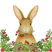 Holiday Trio Flour Sack Towel -3 pack
Holiday Bunny